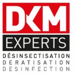 Logo DKM Expert