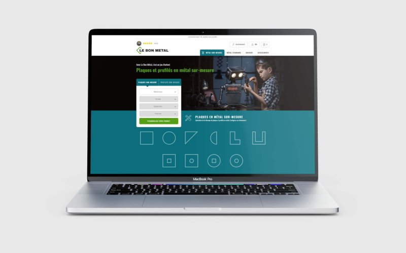 Le Bon Métal, mise en situation site web